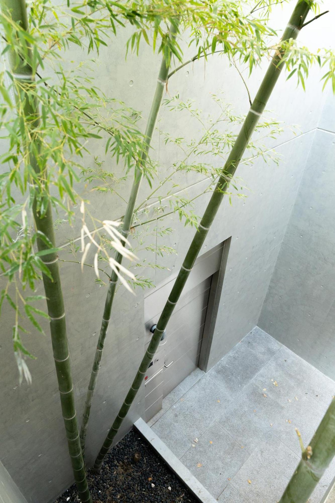 Azabu Modern House The Tower Be Seen From The 500m2 Hébergement de vacances